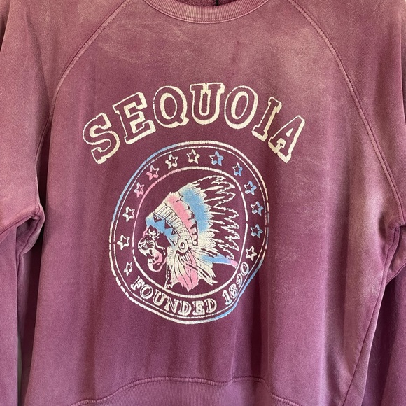 Daydreamer Sequoia Oversized Varsity Sweatshirt - Picture 5 of 6